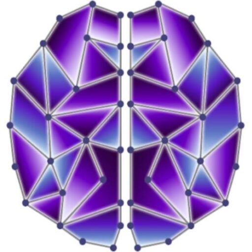 Brain Health Project